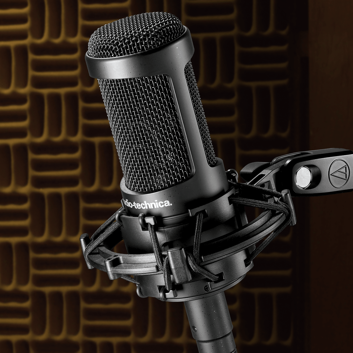 Audio Technica AT2050 Multi-Pattern Studio & Podcasting