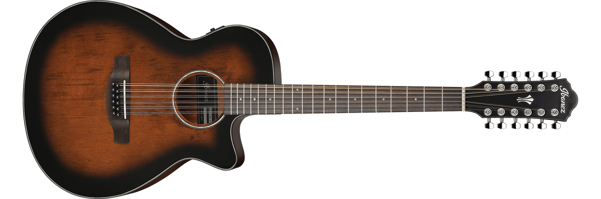 Ibanez aeg1812ii 12 string 2025