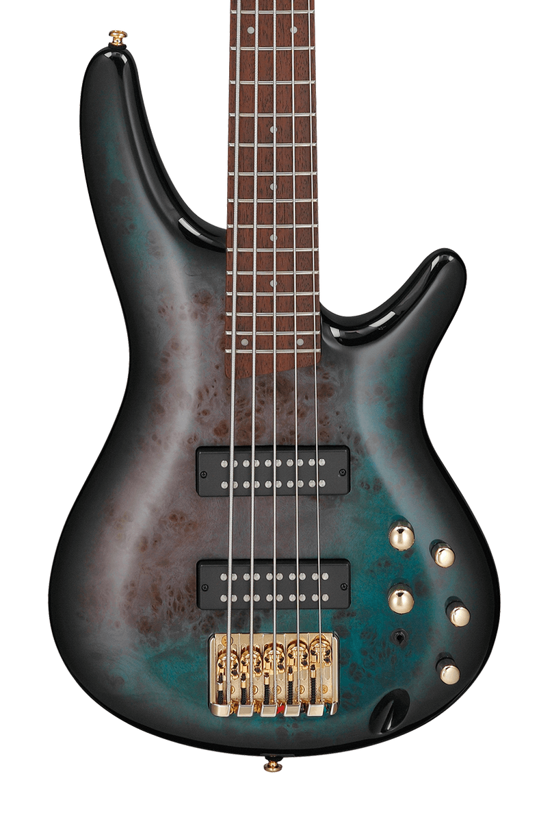 Ibanez SR405EPBDX-TSU Electric Bass Guitar 5-String TSU-Tropical Seafl –  Tegeler Music
