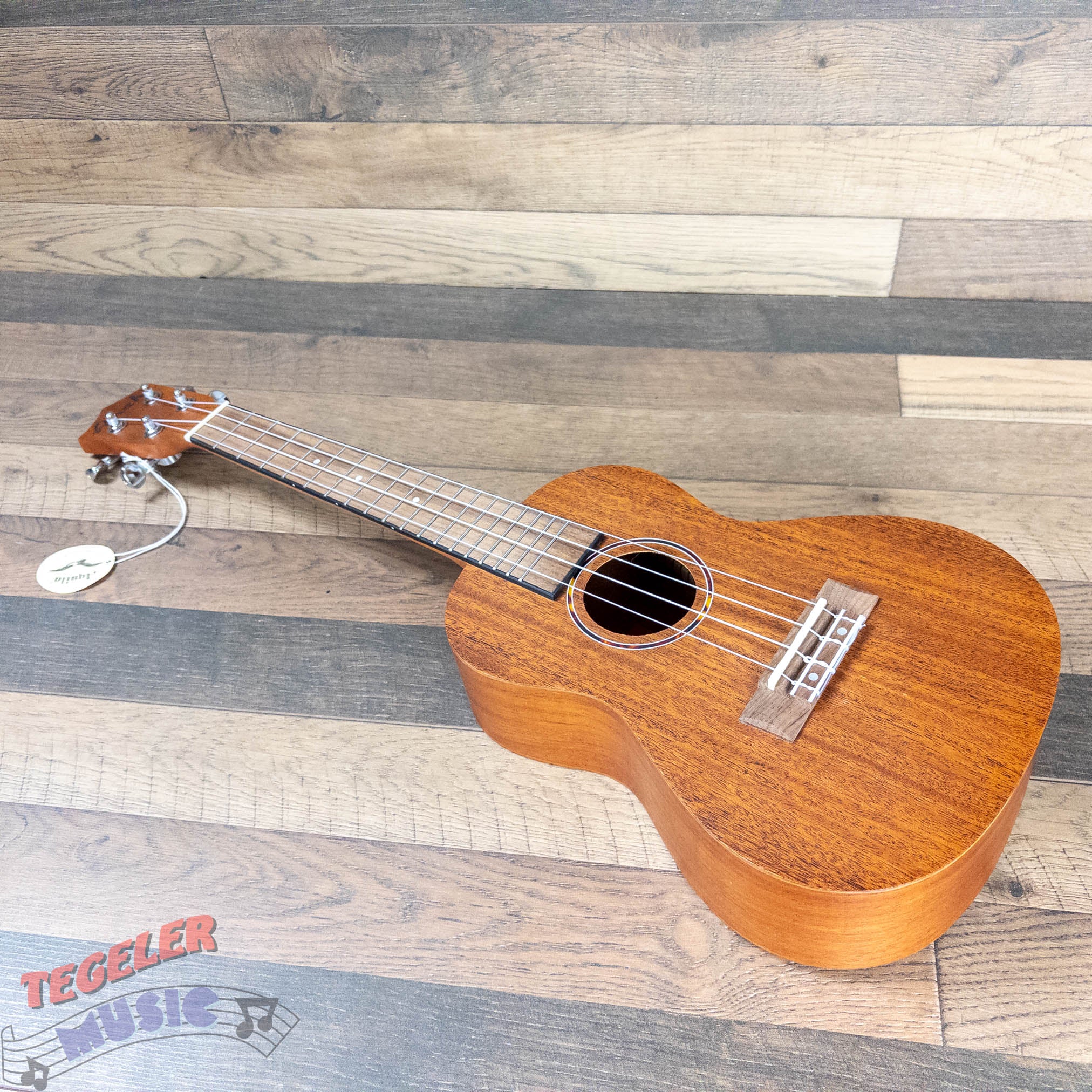 Amahi UKC-3 Mahoghany Concert Ukelele w/Bag, Stained finish, Traditional Shape