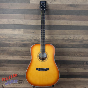 Nashville Guitar Works D10EB Acoustic Guitar, Edgeburst Finish