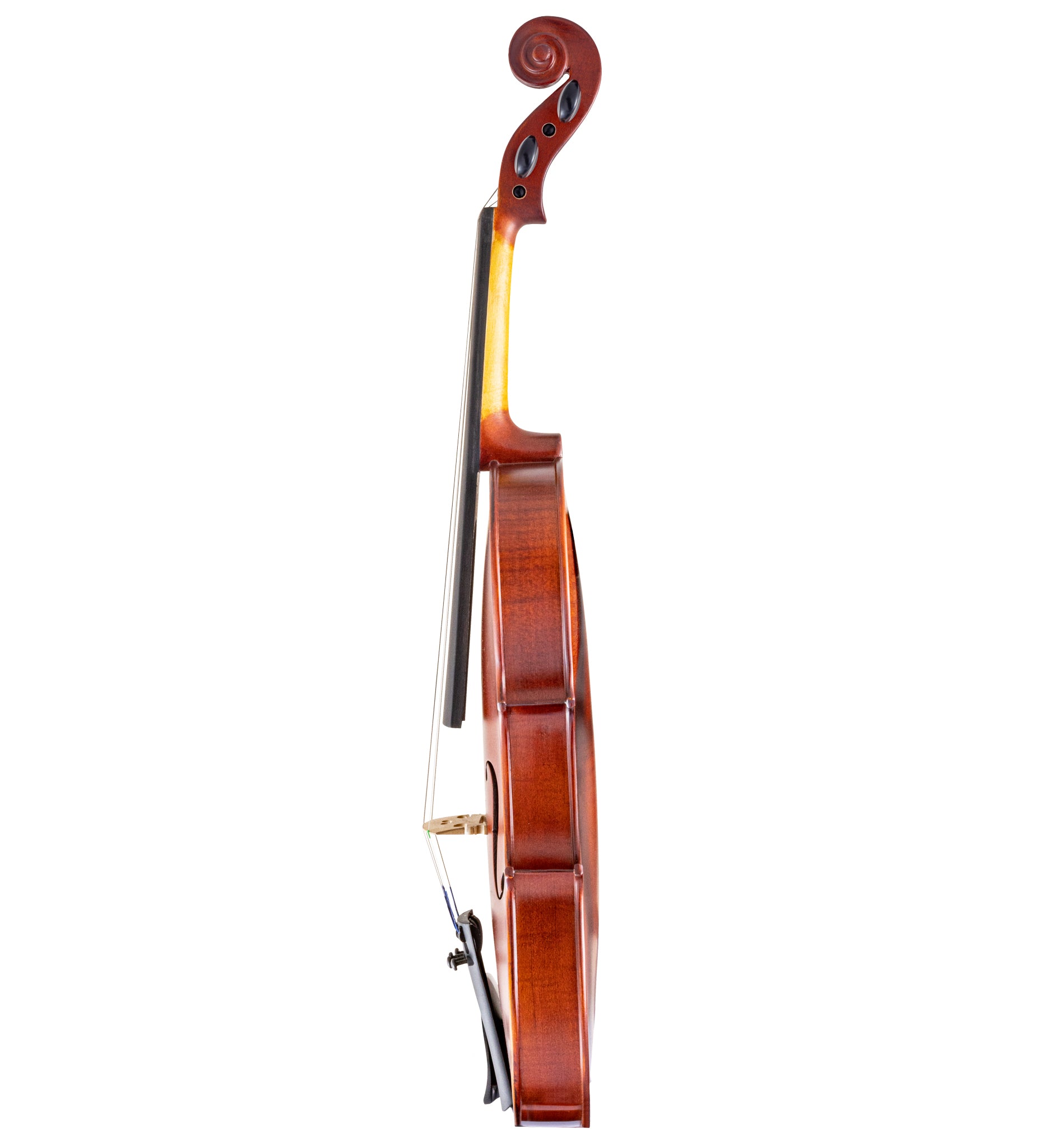 Scherl & Roth SR41E2H Student Violin 1/2 size w/Thermoplastic Case & Carbon Bow