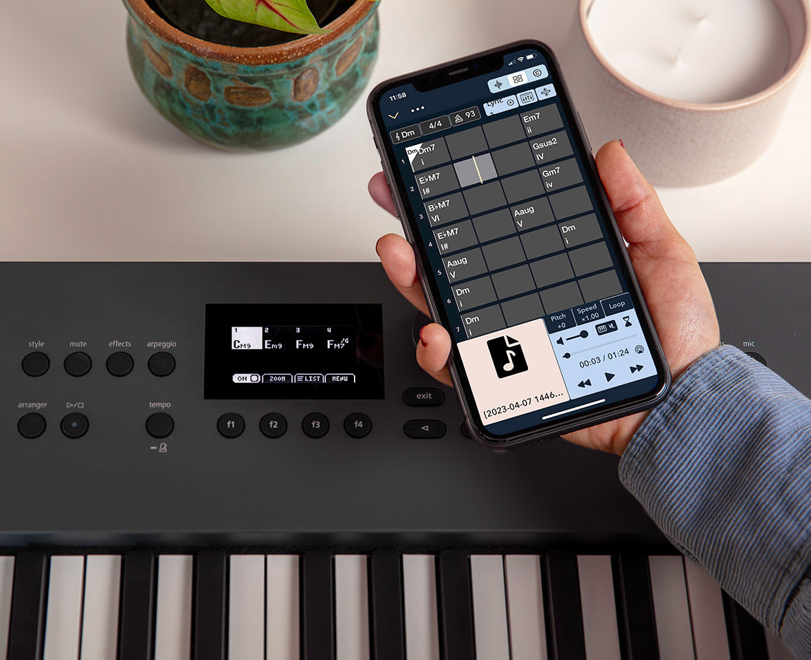 Roland GO:KEYS 5 Keyboard - Graphite, Portable Music Creation Keyboard