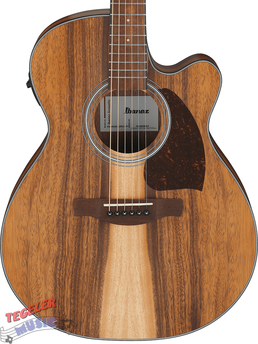 Ibanez PC50WSCE-OPB Acoustic Electric Guitar, Open Pore Finish, Brown