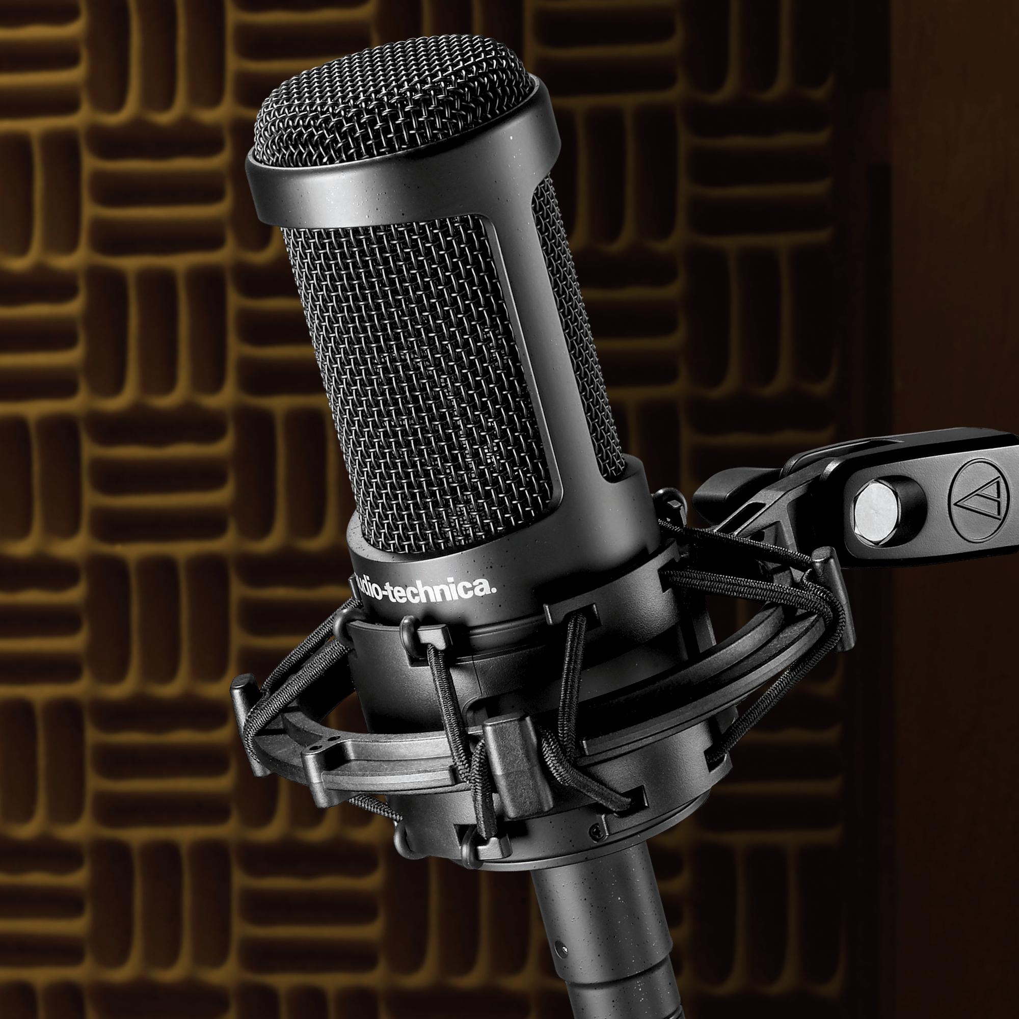 Audio Technica AT2050 Multi-Pattern Studio & Podcasting Condenser Microphone