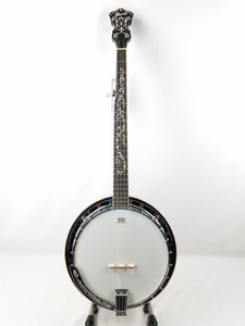 Ibanez B300 Right-Handed 5-String Banjo