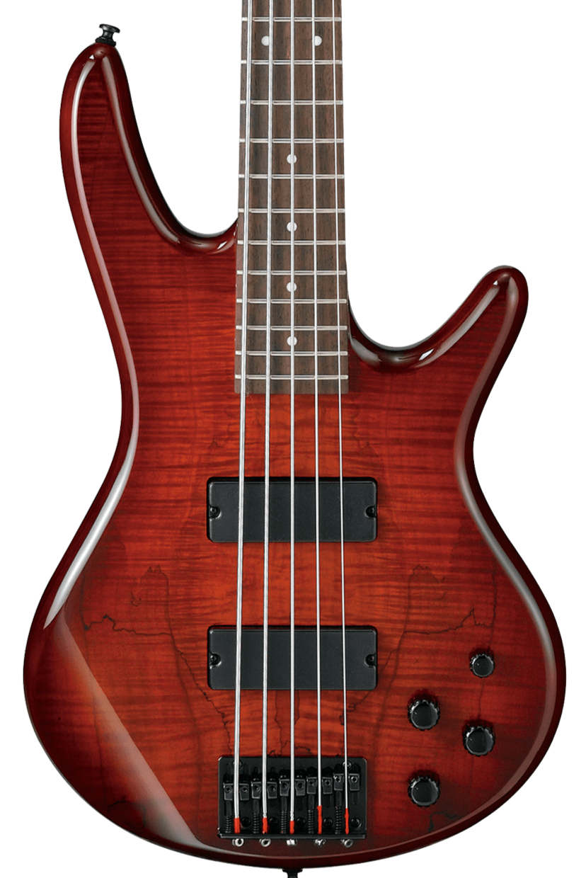 Ibanez GSR205SM-CNB 5-String Electric Bass Guitar CNB:Charcoal Brown Burst