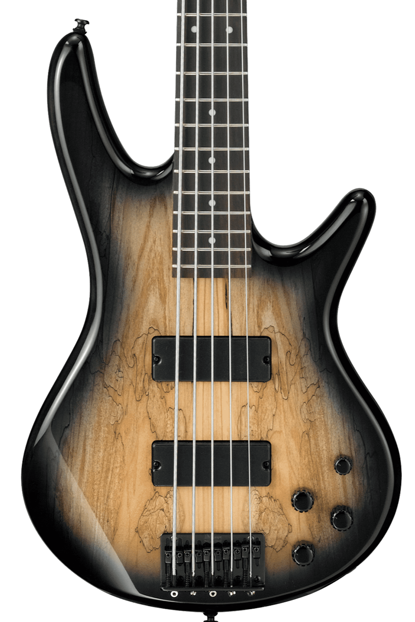 Ibanez GSR205SM-NGT GIO Series 5 String Electric Bass Guitar Natural Gray Burst