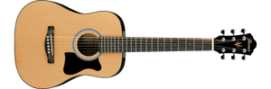 Ibanez Beginner Acoustic Guitar Package Jampack Series IJV30 3/4 Scale