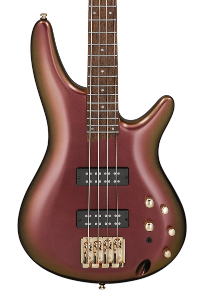 p_region_SR300EDX_RGC_1P_01_gr