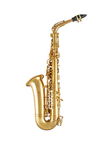 Selmer SAS411 Series Intermediate Level Alto Saxophone with Backpack Style Case